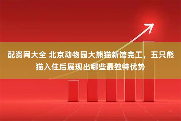 配资网大全 北京动物园大熊猫新馆完工，五只熊猫入住后展现出哪些最独特优势