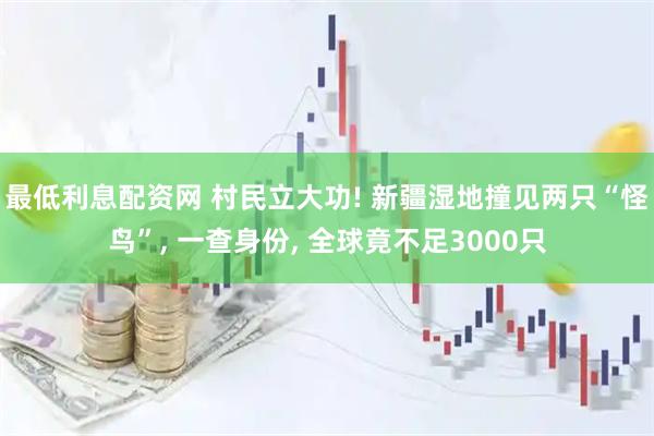 最低利息配资网 村民立大功! 新疆湿地撞见两只“怪鸟”, 一查身份, 全球竟不足3000只