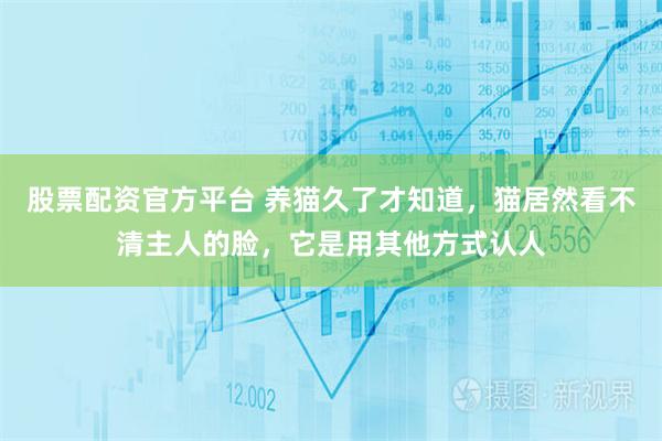 股票配资官方平台 养猫久了才知道,猫居然看不清主人的脸,它是用其他方式认人